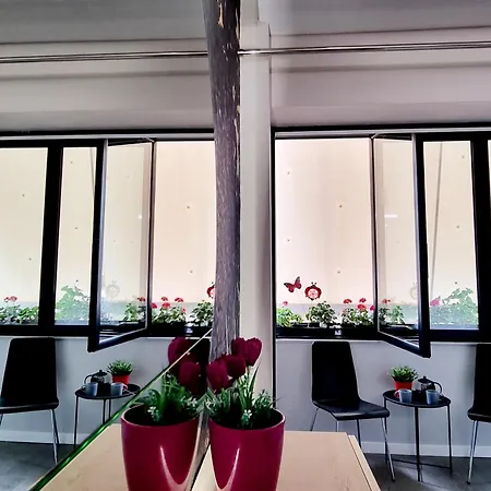 아파트 Lovely New Near Tirana's Artificial 티라나