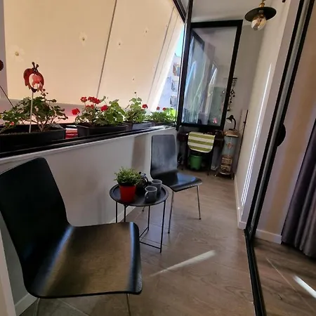 Lovely New Near Tirana's Artificial Tiran