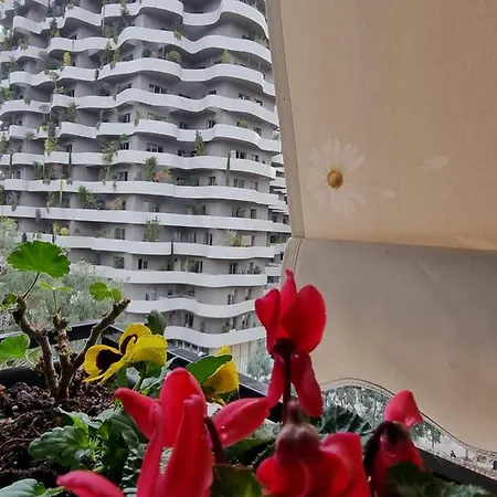 Daire Lovely New Near Tirana's Artificial Tiran