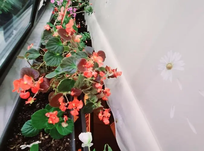 Lovely New Near Tirana's Artificial Apartmán *